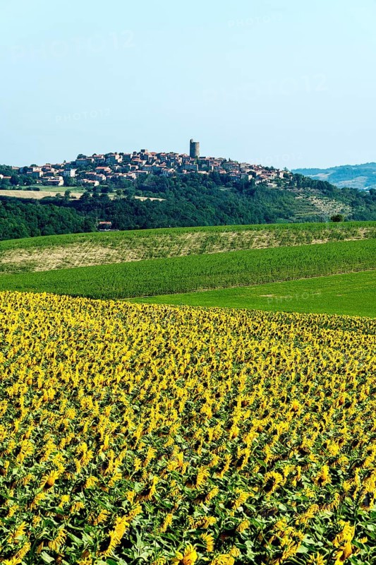 Village of Montpeyroux labelled Les Plus Beaux Villages de France, Puy de Dome, Auvergne-Rhone-Alpes, France, Europe