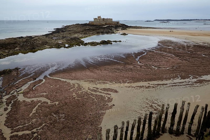 Fort National with mudflats at low tide on a tidal island off Saint-Malo, Ille-et-Vilaine, Brittany, France, Europe