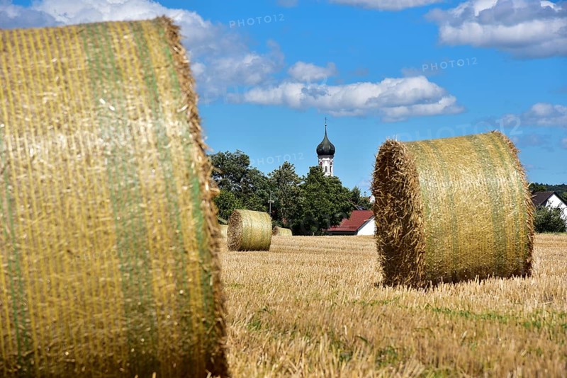 Straw bales on a harvested grain field, in the background the village church with onion tower, Bavaria, Germany, Europe