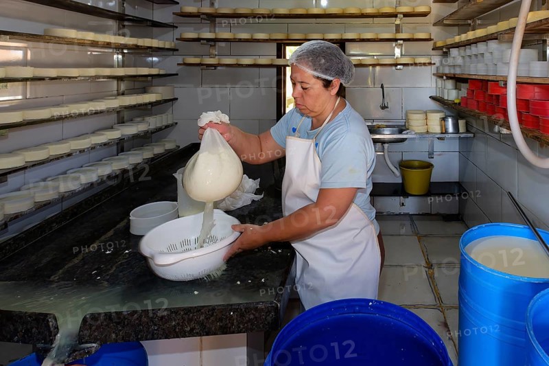 Woman farmer preparing cheese, Serra da Canastra, Sao Roque das Minas, Minas Gerais state, Brazil, South America