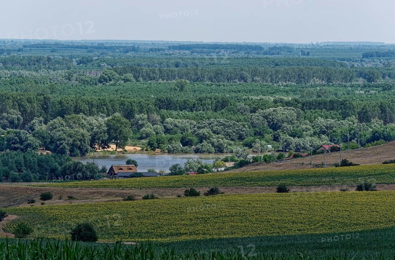 Landscape on the Saint George Branch, the southern arm of the Danube in the Danube Delta. Tulcea, Romania, Southeast Europe, Europe