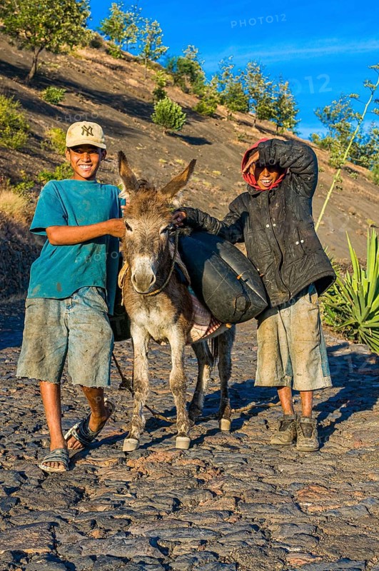 Children with donkey on path. Fogo. Cabo Verde. Africa