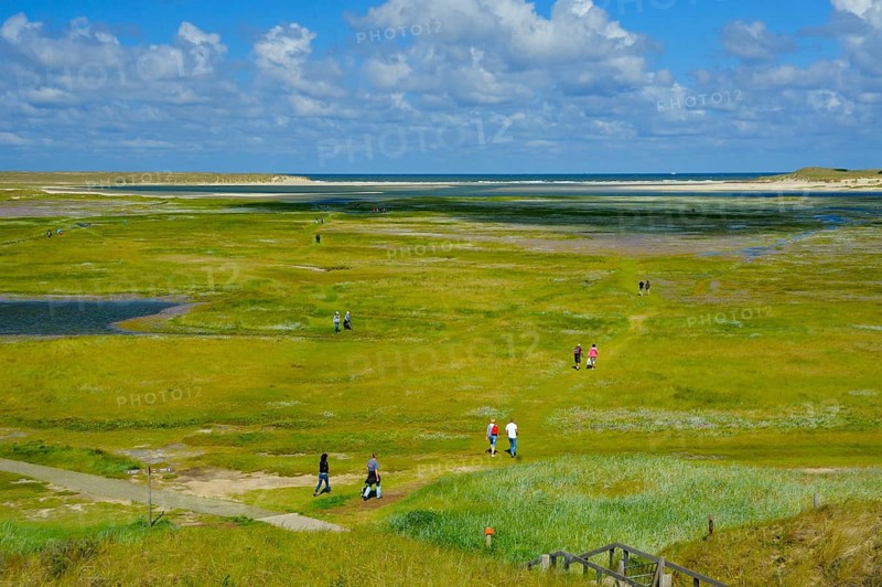 Nature reserve De Slufter, view from lookout dune, island Texel, North Sea, North Holland, Netherlands