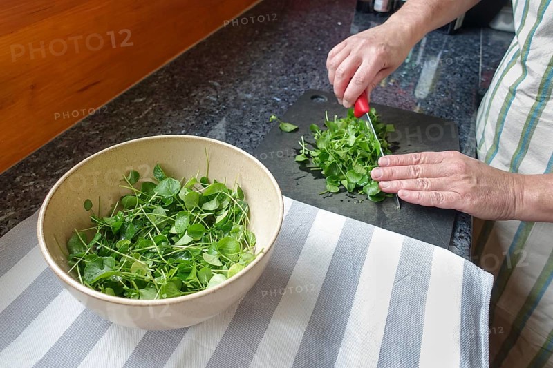 Watercress (Nasturtium officinale), fresh cress for the preparation of a cress soup, cutting board, cutting, kitchen knife, chopping, salad bowl, tea towel, worktop, Swabian cuisine, hearty soup, vegetarian, healthy, salty, typical Swabian cuisine reinterpreted, traditional cuisine, food photography, studio, men's hands, Germany, Europe