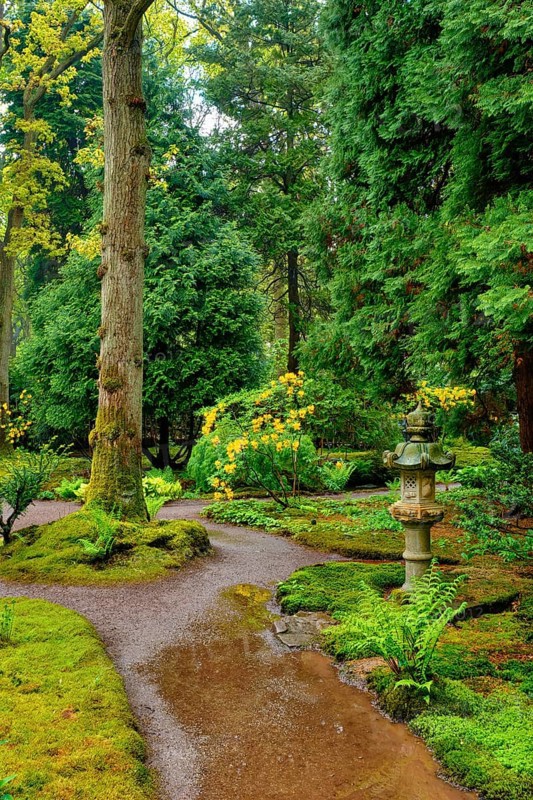 Path and stone lantern in Japanese garden, Park Clingendael, The Hague, Netherlands