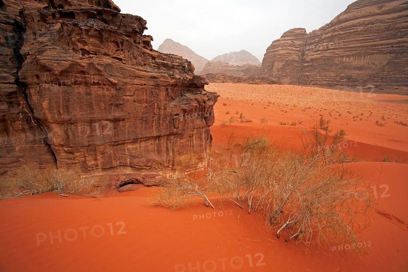 Eroded sandstone rock formation in the Wadi Rum desert, The Valley of the Moon in southern Jordan