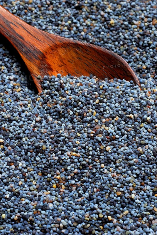 Opium poppy (Papaver somniferum) seed, seed, poppy seed, poppy seed, edible poppy