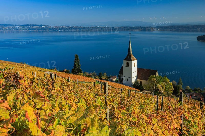 Ligerz on Lake Biel, Bern, Switzerland, Europe