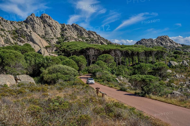Mountain landscape with pine, car on road, Caprera island, Olbia-Tempio Province, Sardinia, Italy, Europe