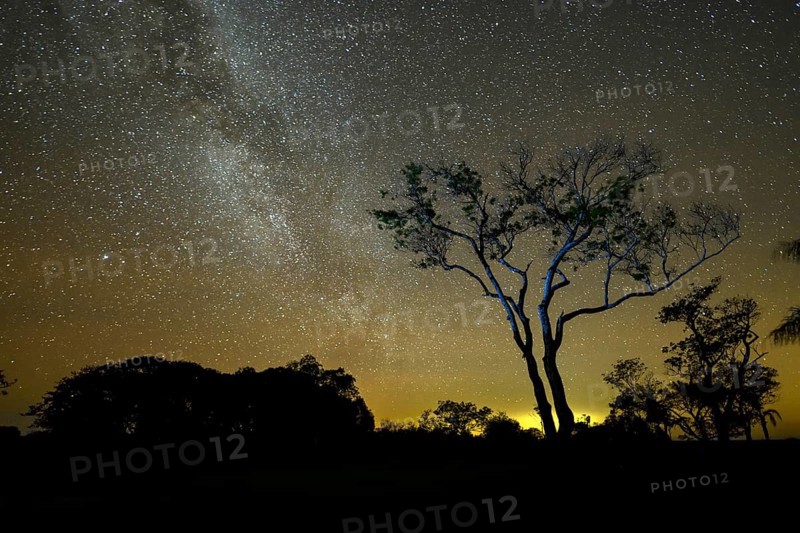 Starry sky, Cambyretá, Esteros del Iberá, Corrientes Province, Argentina, South America