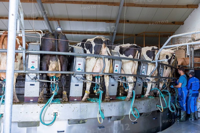 Federal Minister of Food and Agriculture, Cem Özdemir, visits Großdrebnitzer Agrarbetriebsges. mbH together with Saxony's Minister of Agriculture, Wolfram Günther. Milking carousel