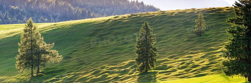 Buckelwiesen between Mittenwald and Krün, Werdenfelser Land, Upper Bavaria, Bavaria, Germany, Europe