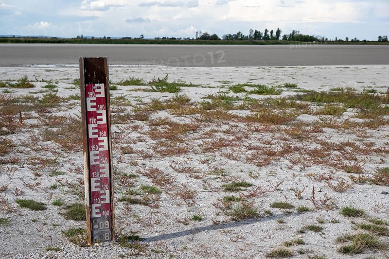Measuring rod and heavily dried out Darscho or Warmsee, Lake Neusiedl-Seewinkel National Park, Burgenland, Austria, Europe