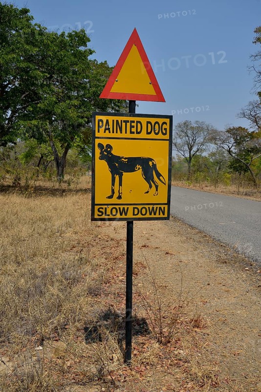 Warning Sign Painted dog, Attention African Wild Dogs, Hwange National Park, near Hwange, Matabeleland North Province, Zimbabwe, Africa