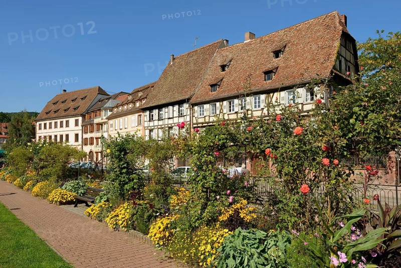 Old town, half-timbered houses, Wissembourg, Alsace, Weissenburg, France, Europe