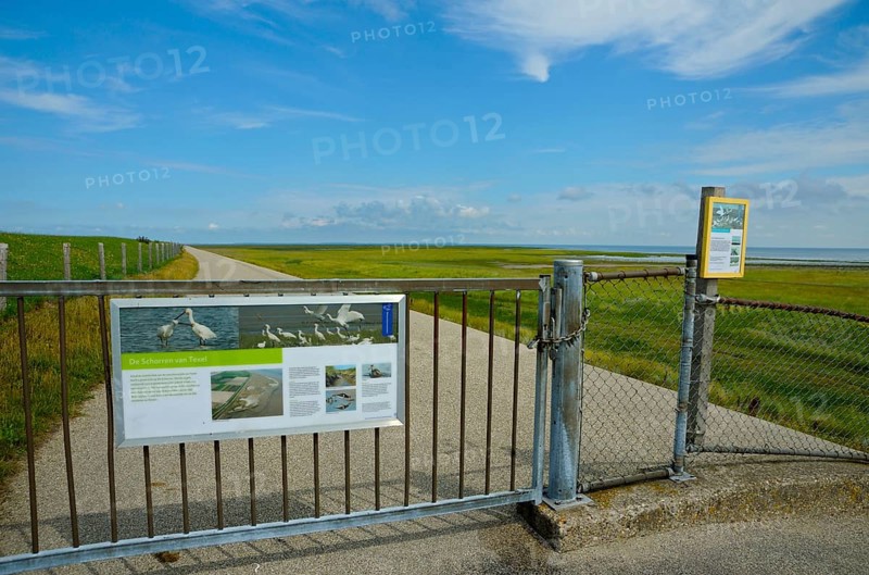 Nature reserve De Schorren, view from the dike to the salt marshes, island Texel, North Sea, North Holland, Netherlands