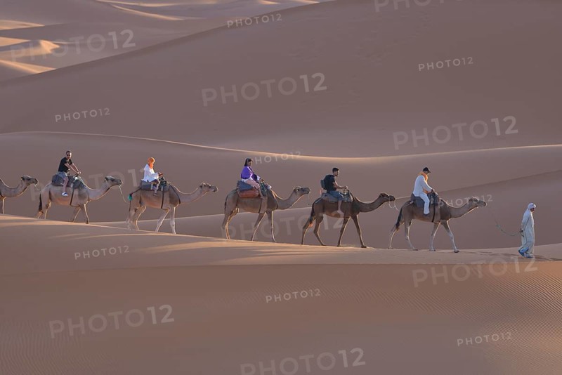 Tourists riding camels in the dunes, Sahara, Merzouga, Meknès-Tafilalet region, Morocco, Africa