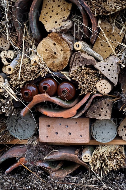 Insect hotel for solitary bees and artificial nesting place for other insects, invertebrates with nesting holes in hollow trunks, bricks and wooden blocks