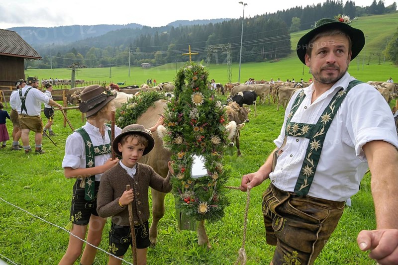 16. 09. 2022. Almabtrieb, cattle seperation in Thalkirchdorf, Markt Oberstaufen, Allgäu, Bavaria, Germany, Europe