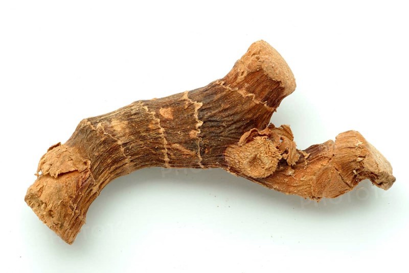 Indian galangal, Alpinia calcarata, Brachychilum horsfeldi, is a rhizomatic perennial herb commonly used in the traditional medicinal systems of Asia. Alpinia calcarata is cultivated in tropical countries. The rhizomes of Alpinia calcarata have been experimentally shown to possess antibacterial, antifungal, anthelmintic, antinociceptive, anti-inflammatory, antioxidant, aphrodisiac, gastroprotective and antidiabetic effects