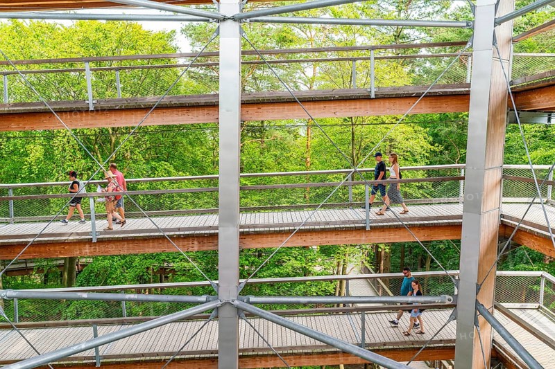 Visitors on the Usedom treetop walk, Baltic resort Heringsdorf, Usedom Island, Mecklenburg-Western Pomerania, Germany, Europe