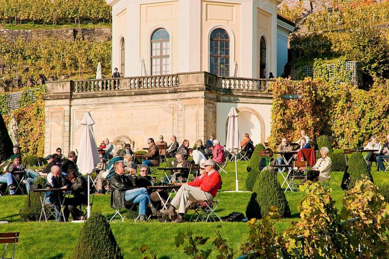 Schloss Wackerbarth or Wackerbarths Ruh' is a baroque castle surrounded by vineyards in the Niederlößnitz district of Radebeul on the road to Meissen, which serves as the seat of the Saxon State Winery. The winery belongs to the large Lößnitz vineyard and is located in the single vineyard Radebeuler Johannisberg