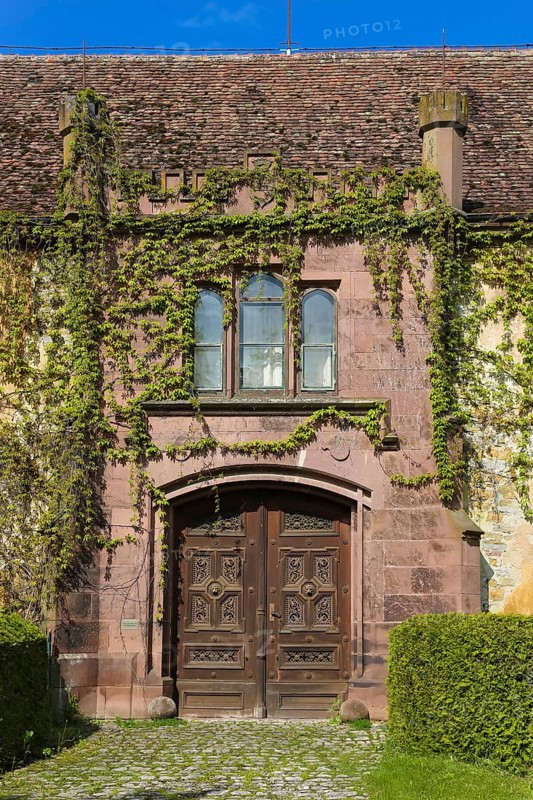 Dotternhausen Castle, Cotta's Castle, Dotternhausen Castle, historical building, aristocratic residence, architecture, detail, window, ornate wooden door, entrance front door, lion's head, overgrown facade, green facade, climbing plants, Dotternhausen, Zollernalbkreis, Baden-Württemberg, Germany, Europe