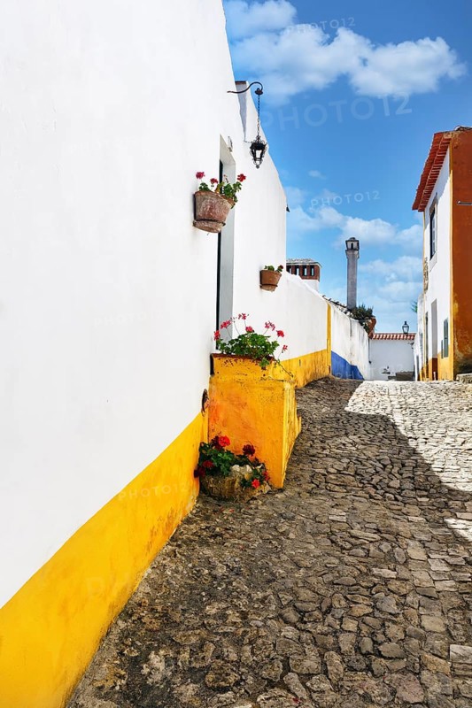 Typical colourful alley in the medieval village of Óbidos, Portugal, Europe