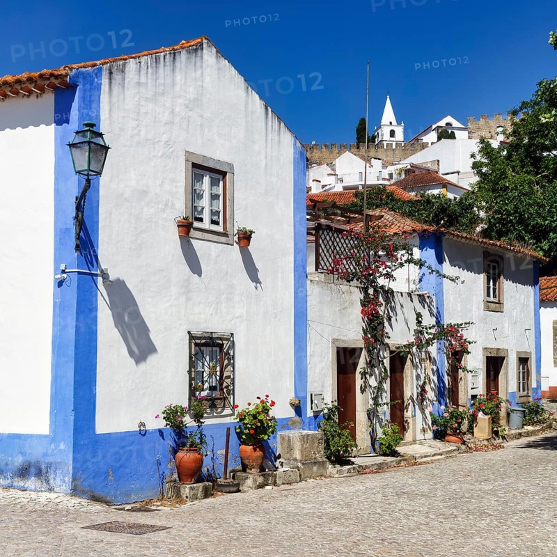 Typical houses in the medieval village, painted blue and white, Óbidos, Portugal, Europe