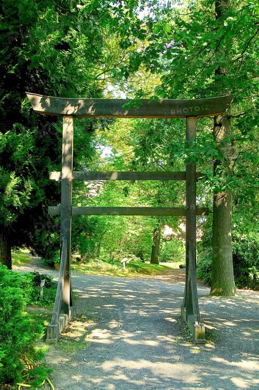 Zuschendorf Castle Gardens The grounds and gardens, which were renovated after reunification, are now home to an important botanical collection of hydrangeas, bonsai, ivy, camellias and a fruit orangery