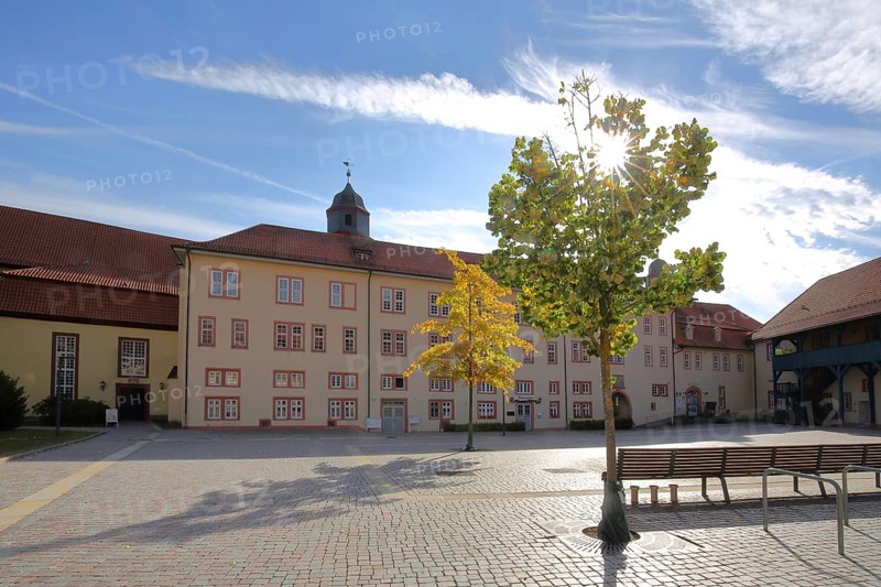 Inner courtyard of the castle with two trees and benches in the backlight during autumn, Philippsthal, Werra, Hesse, Germany, Europe