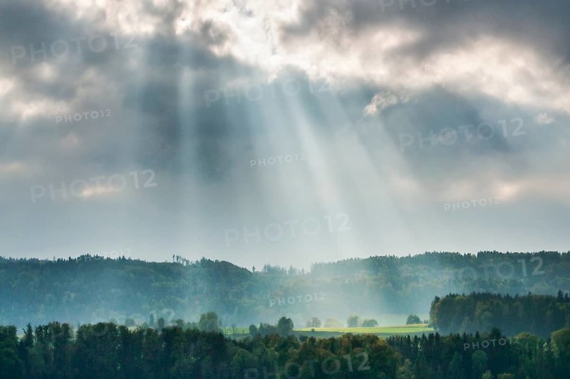Tyndall effect over rural woodland, sunbeams break through cloudy sky and illuminate a forest clearing, near Egg in Zurich Obeland, Switzerland, Europe