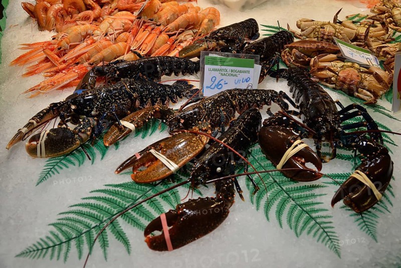 European lobsters at a fish stall in the market hall, Mercat de la Boquería, also Mercat de Sant Josep, Barcelona, ??Catalonia, Spain, Europe