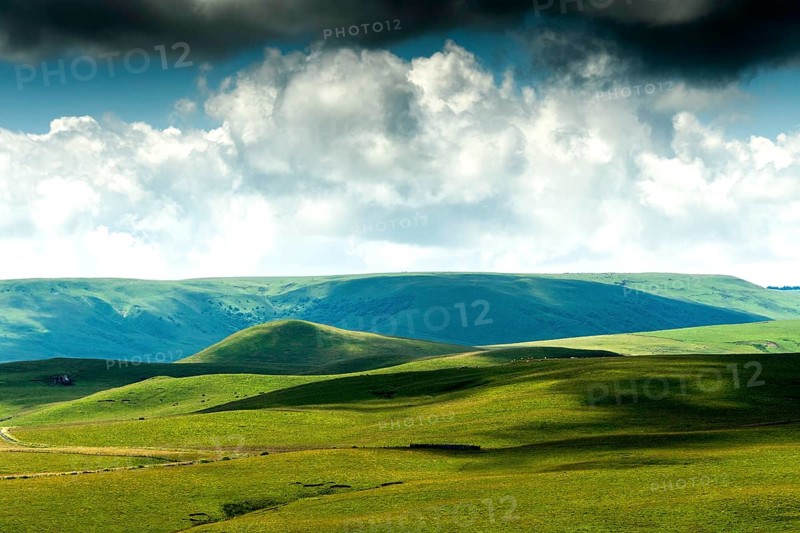 Cezallier plateau in the Auvergne volcanoes regional natural park, Puy de Dome department, Auvergne-Rhone-Alpes, France, Europe