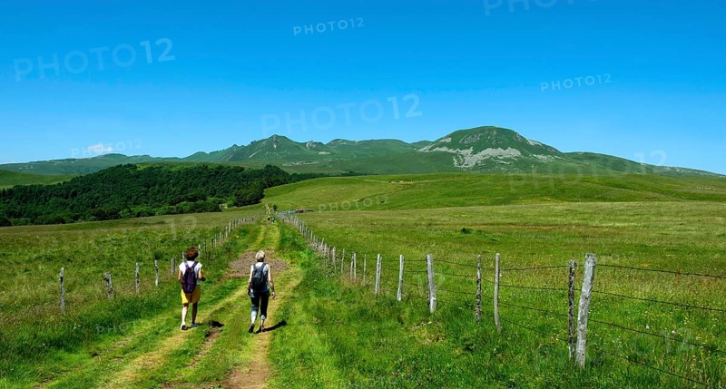Hikers in Sancy massif, Auvergne Volcanoes Natural Park, Puy de Dome department, Auvergne Rhone Alpes, Frankreich