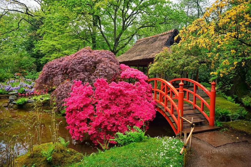 Small bridge in Japanese garden, Park Clingendael, The Hague, Netherlands