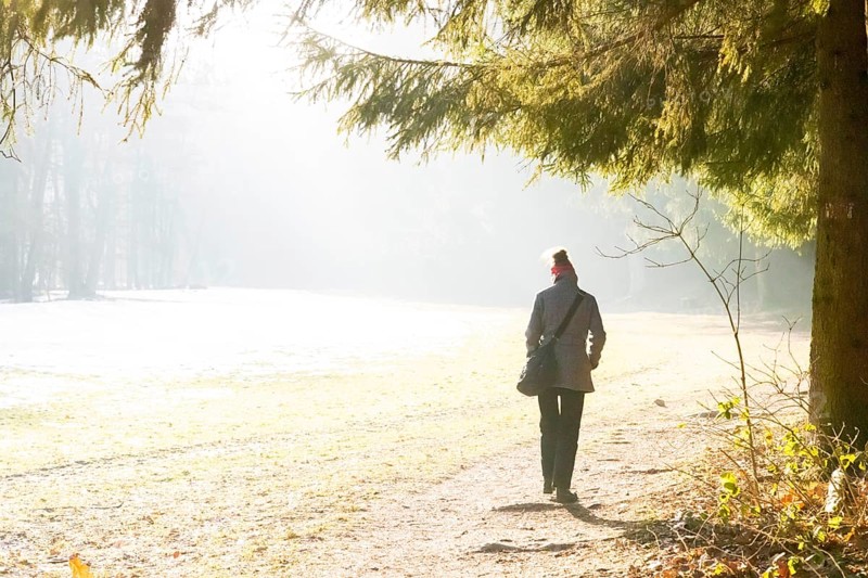 The lower section of the Schullwitzbach valley in Dittersbach is called the Lieblingstal. The Lieblingstal was developed by Johann Gottlob von Quandt around 1840. In 2006, a marked hiking trail through the Lieblingstal (according to a hiking guide from 1908) was created by the Quandt Association Dittersbach. The dilapidated monuments have been rebuilt