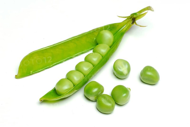 Peas in the pod Pea (Pisum sativum) pea, pea pod
