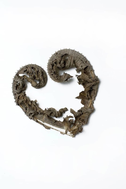 Heart, formed from dried leaves of Common Teasel ((Dipsacus sylvestris) Dipsacus silvester) (Dipsacus fullonum)