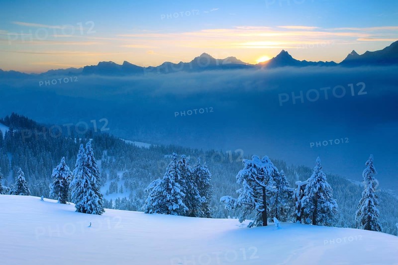 Bernese Alps, View from the Niederhorn, Bernese Oberland, Switzerland, Europe
