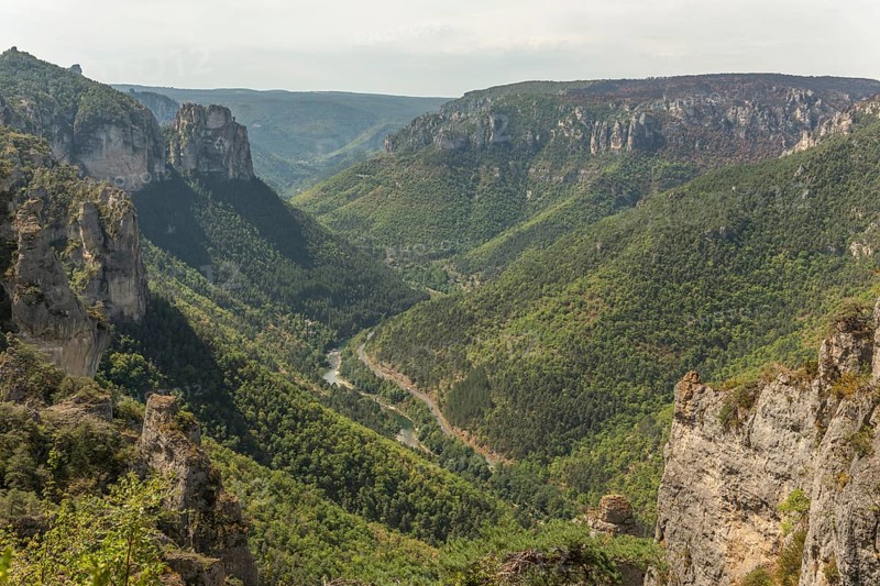 Gorges of Tarn seen from hiking trail on the corniches of Causse Mejean above the Tarn Gorges. La bourgarie, Lozere, France, Europe