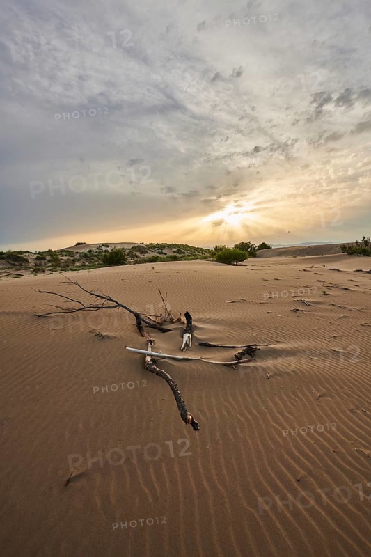 Beach "Platja del Fangar", Vegetation, nature reserve, ebro delta, Catalonia, Spain, Europe