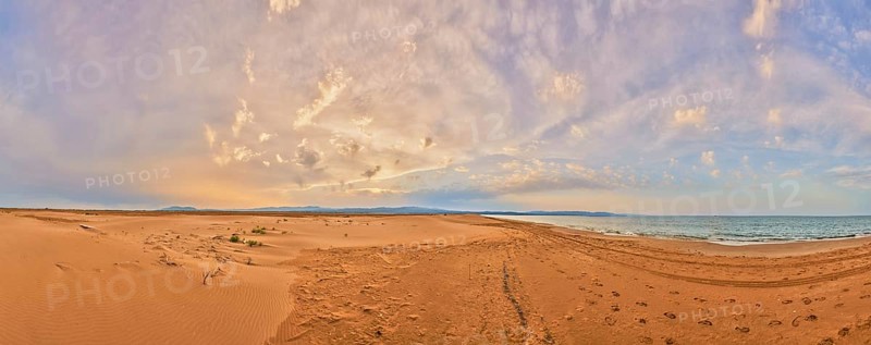 Beach "Platja del Fangar", sand dunes, Vegetation, nature reserve, ebro delta, Catalonia, Spain, Europe