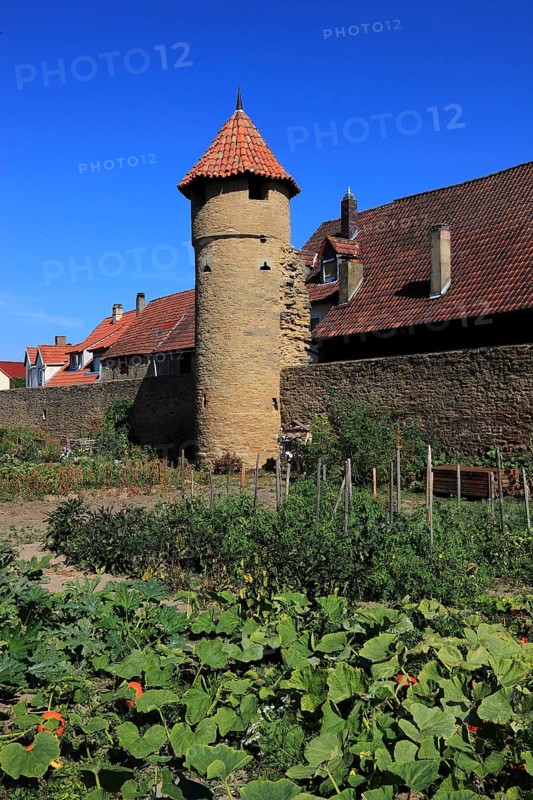 Part of the old town wall and in front of it the moat gardens, Mainbernheim, Lower Franconia, Germany, Europe