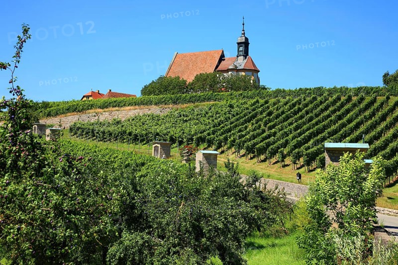 Maria im Weingarten Chapel, Volkach, Kitzingen District, Lower Franconia, Bavaria, Germany, Europe
