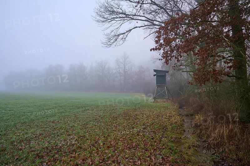 Edge of the forest with meadow and hunting blind on a foggy morning, Kreuzwertheim, Spessart, Bavaria, Germany, Europe
