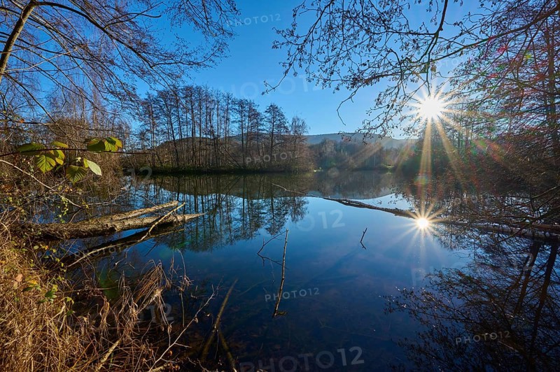 Lake at sunrise, Freudenberg am Main, Untermain, Spessart, Odenwald, Franconia, Baden-Württemberg, Germany, Europe