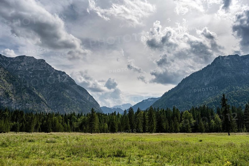 View from Ettaler Forst to the Ammergebirge, district of Garmisch-Partenkirchen, Upper Bavaria, Germany, Europe