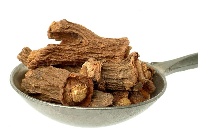 Indian galangal, Alpinia calcarata, Brachychilum horsfeldi, is a rhizomatic perennial herb commonly used in the traditional medicinal systems of Asia. Alpinia calcarata is cultivated in tropical countries. The rhizomes of Alpinia calcarata have been experimentally shown to possess antibacterial, antifungal, anthelmintic, antinociceptive, anti-inflammatory, antioxidant, aphrodisiac, gastroprotective and antidiabetic effects