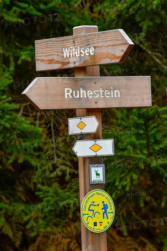 Signpost near the Wildsee, Black Forest National Park, Freudenstadt County, Baden-Württemberg, Germany, Europe